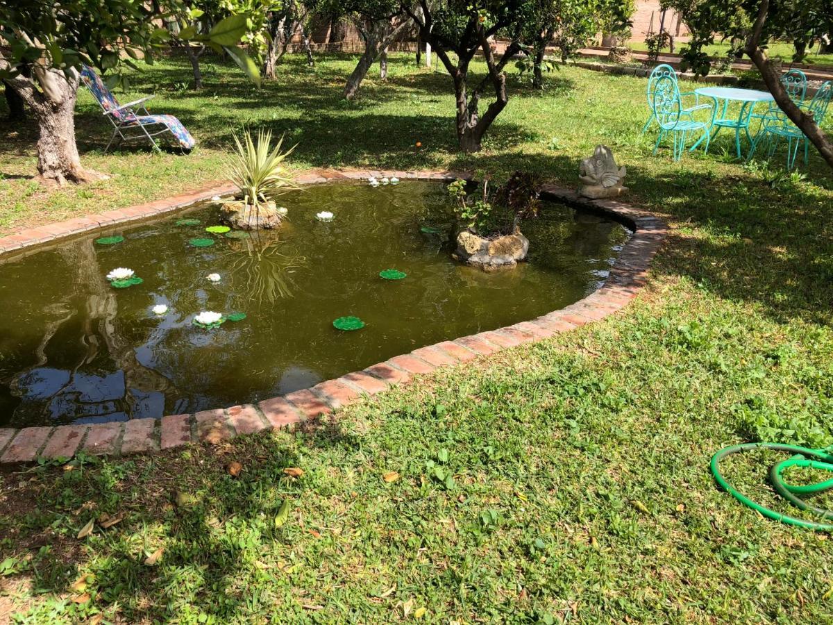 La Casita Del Cactus - Casa De Campo Con Piscina Алькала-де-Гвадаира Экстерьер фото