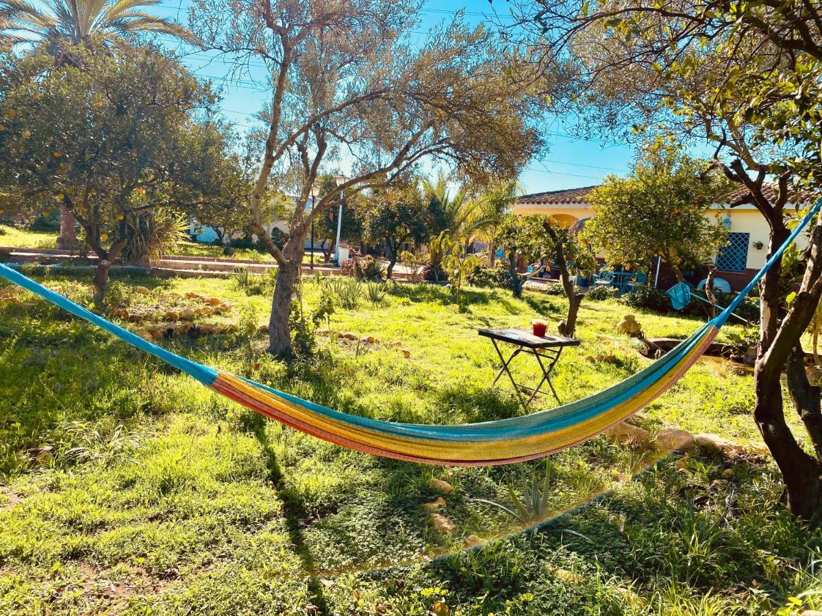 La Casita Del Cactus - Casa De Campo Con Piscina Алькала-де-Гвадаира Экстерьер фото